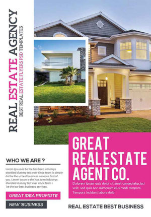 Great Real Estate Agent 1