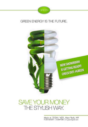 Green Energy Flyer 2