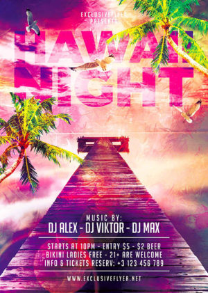 Hawaii Night Flyer 1