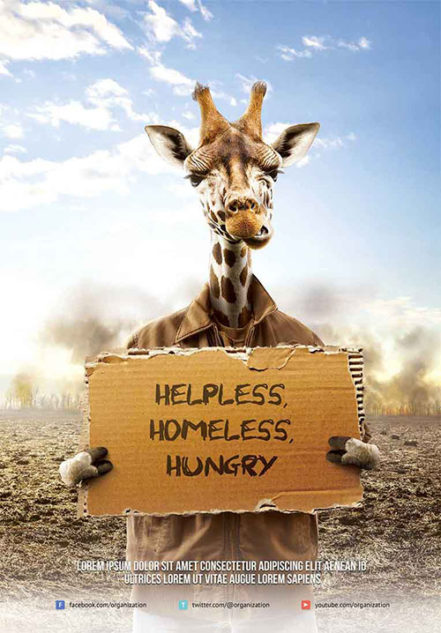 Homeless Animal Flyer