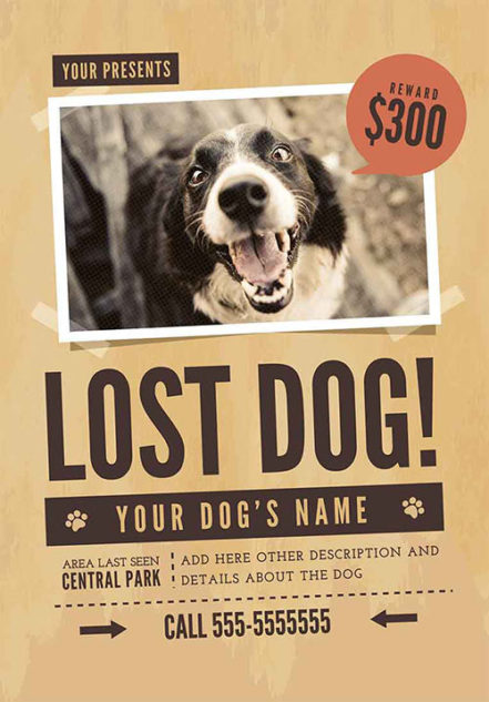 Lost Dog Flyer 01