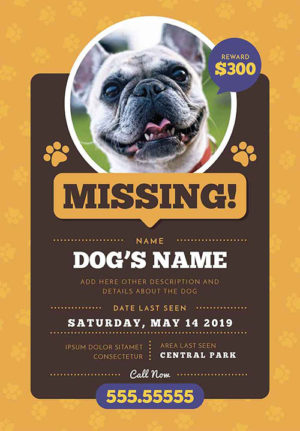 Lost Dog Flyer 03