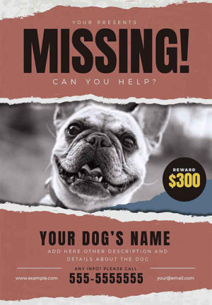 Lost Dog Flyer 05