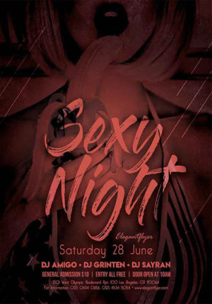 Sexy Night Flyer V10