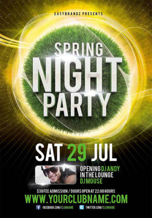 Spring Night Flyer 2