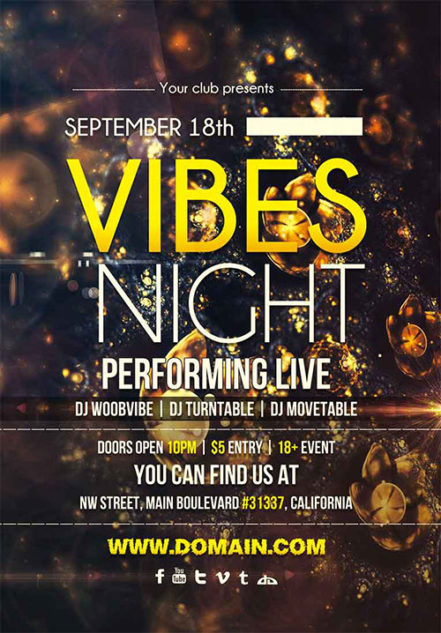 Vibes Night Flyer 2