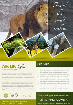 World Safari Travel Agency Flyer