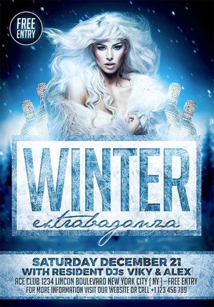 Elegant Winter Party Flyer