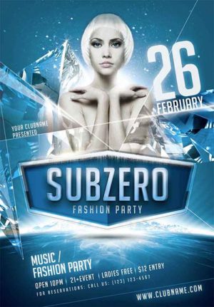 Subzero Winter Party Flyer