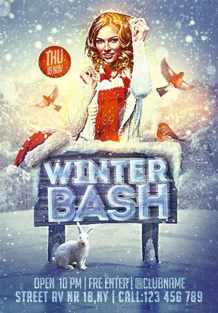 Winter Bash Party Flyer