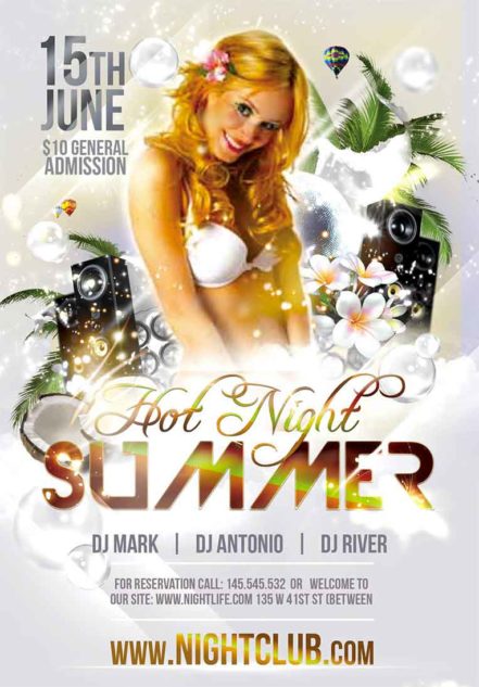 Night Summer Flyer