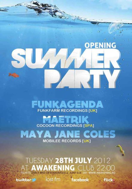 Summer Party Flyer 3117675