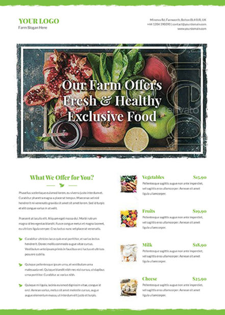 Flyer Organic Food A