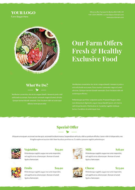 Flyer Organic Food B