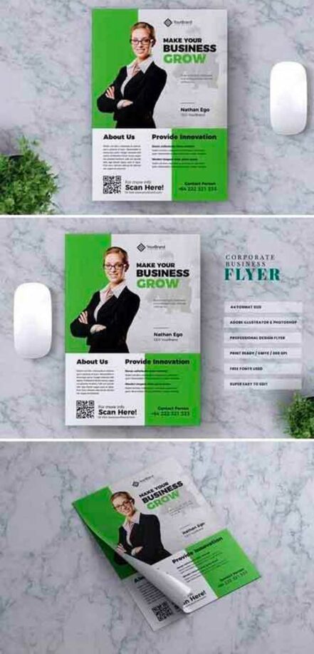 Corporate Business Flyer V11