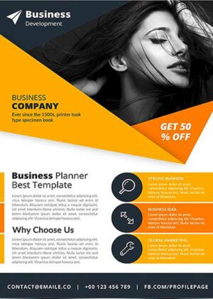 Corporate Flyer 234